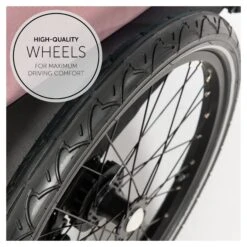 HAUCK Remorque De Vélo Dryk Duo Rose 27 HAUCK Remorque De Vélo Dryk Duo Rose -Magasin Général Pour Enfants dryk duo rose hauck OI