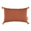 Coussin Sublim Toffee 1 Coussin Sublim Toffee -Magasin Général Pour Enfants toffee nobodinoz 213213 OA